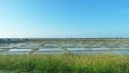 /album/galerie-de-photos-albums-zapattes/039-les-marais-salants-jpg/